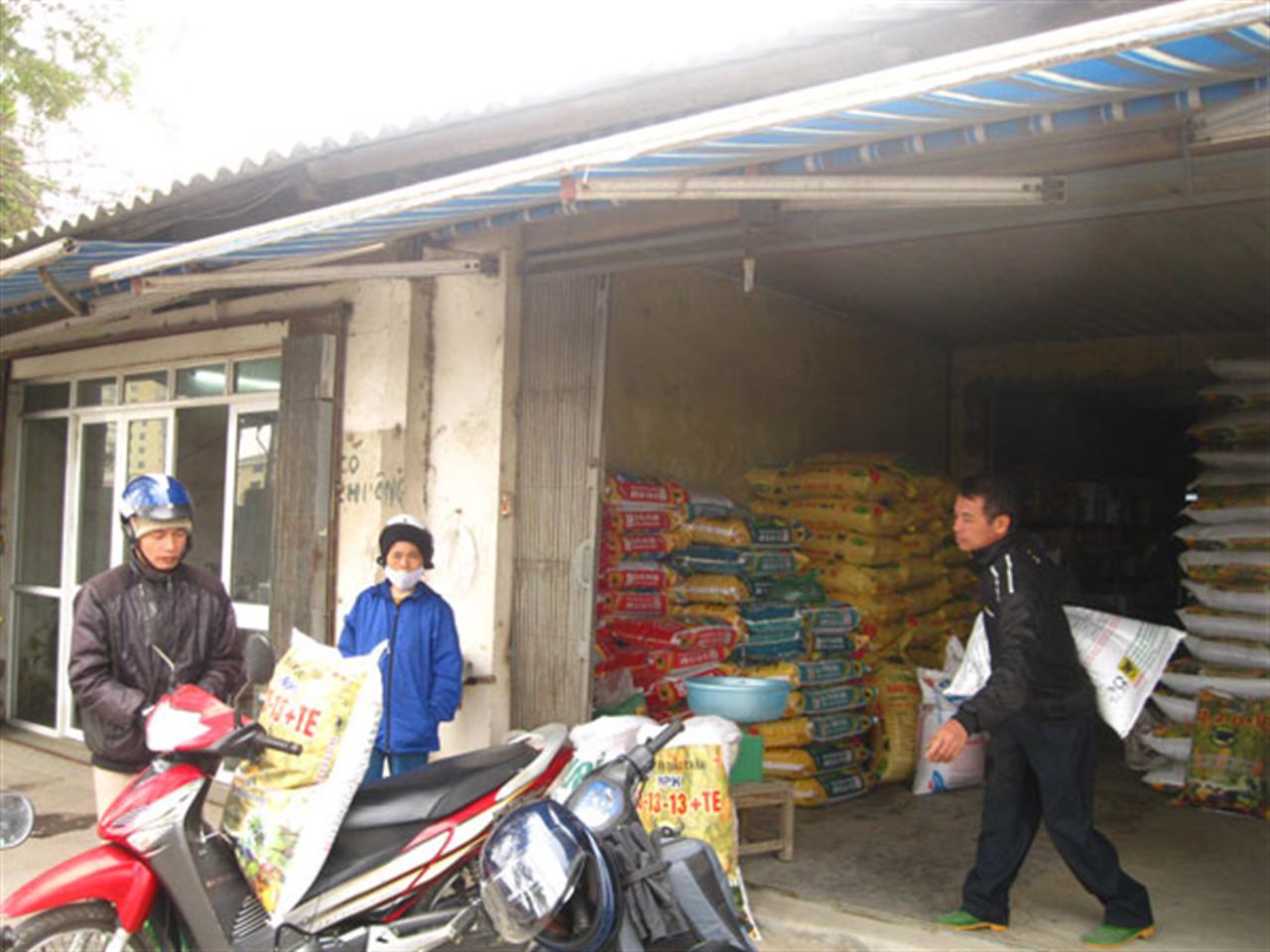 Giá phân bón giảm, nông dân mạnh tay đầu tư