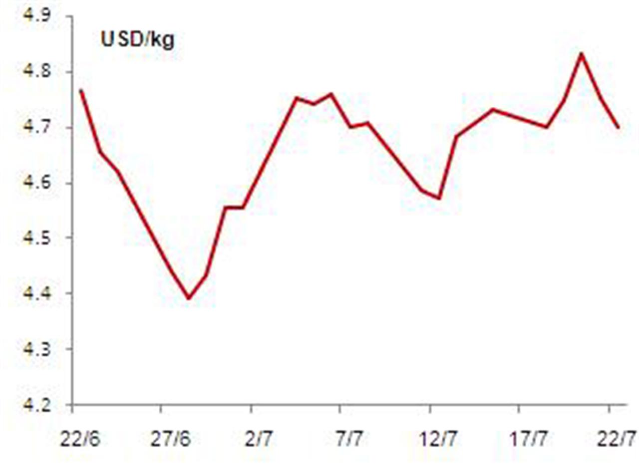 Tuần 18-22/7, thị trường cao su thế giới tăng trở lại