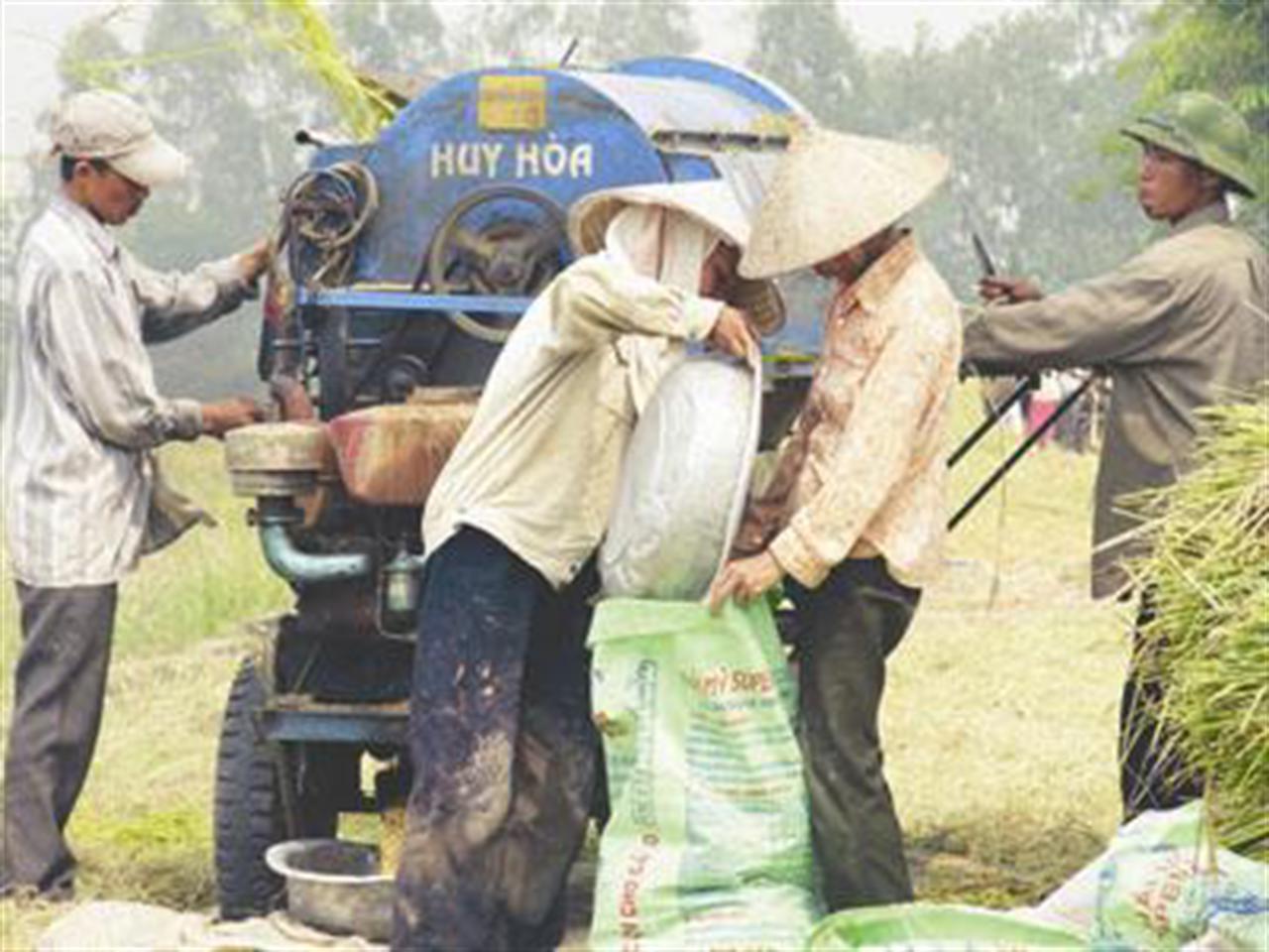 Thị trường phân bón trong nước đến ngày 07/11/2011