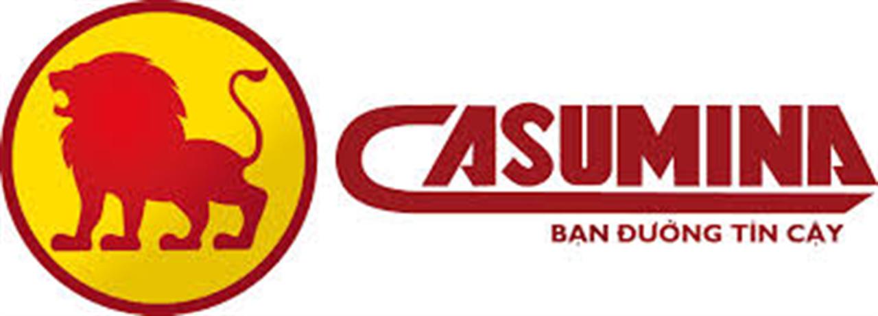 CASUMINA: Inauguration modern steel struck tire radial  plant