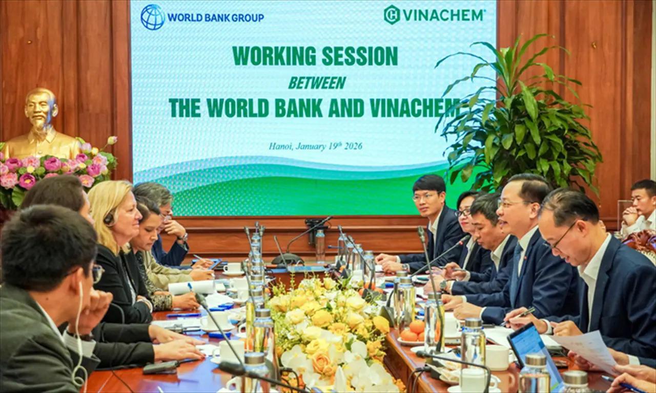 VINACHEM Works with the World Bank to Discuss Cooperation in Promoting Green Transformation