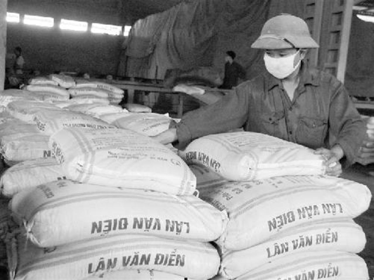 Nghị định mới về quản lý phân bón: Cần tăng chế tài xử phạt