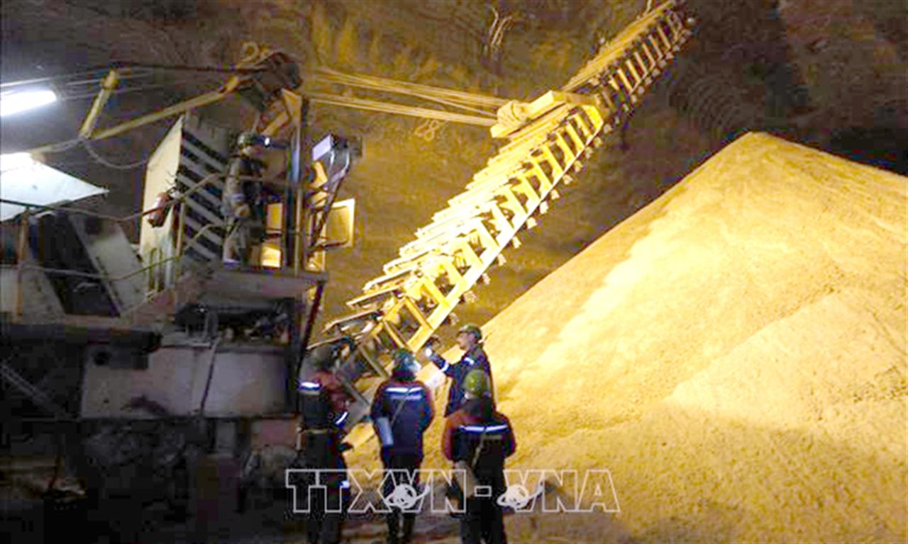 Nỗi lo thiếu phân bón phủ bóng triển vọng sản xuất nông nghiệp ở Mỹ Latinh