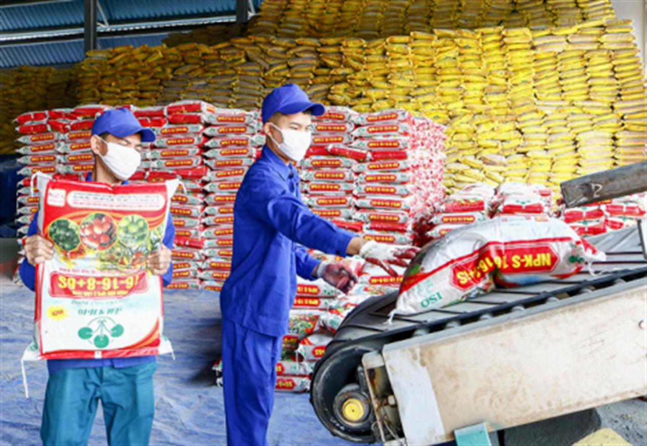 Supe Lâm Thao: Không có phân bón tồn kho nhờ tổ chức tốt thị trường