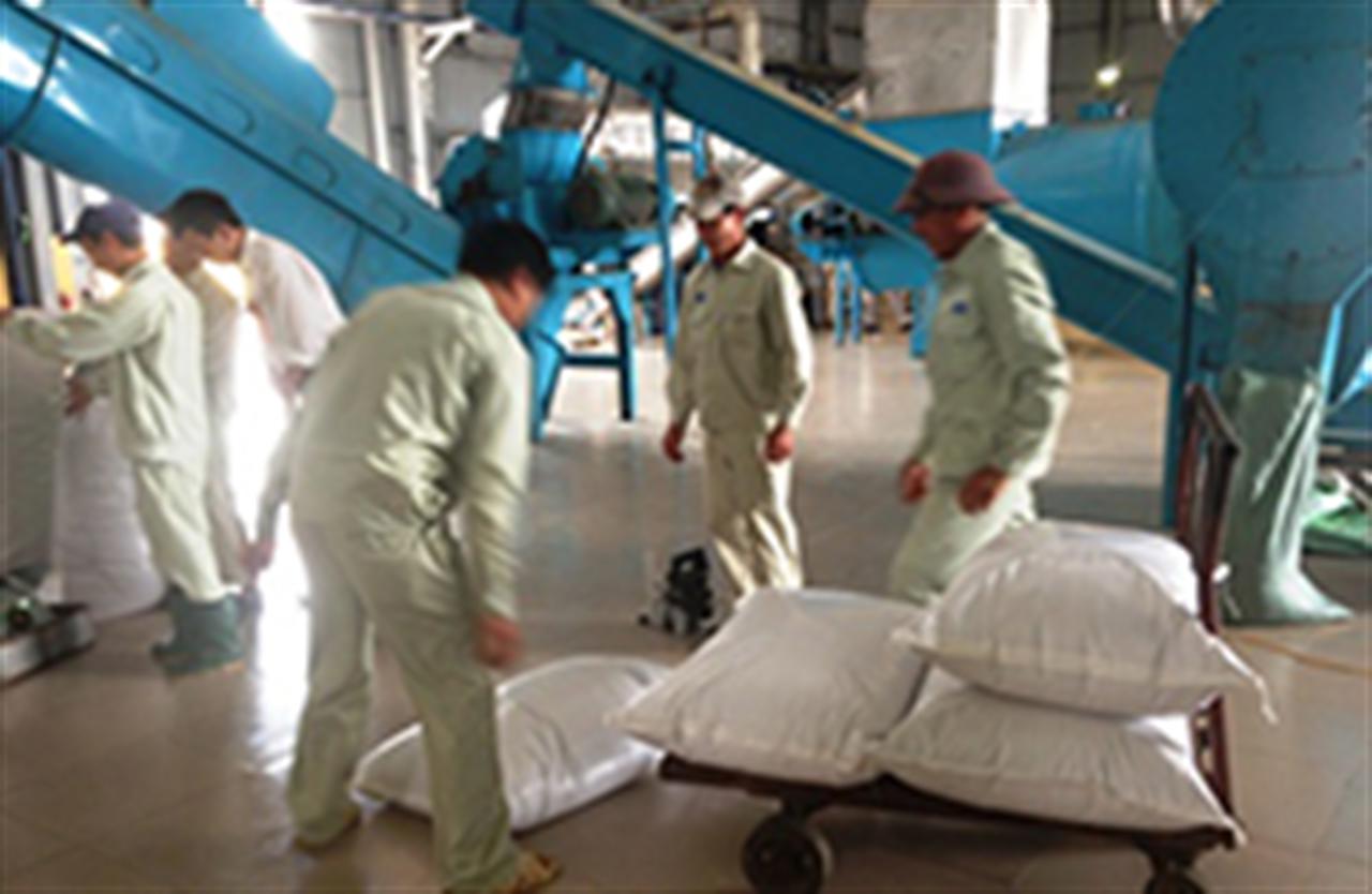 Triển khai đồng bộ các giải pháp quản lý hiệu quả việc sản xuất, kinh doanh phân bón