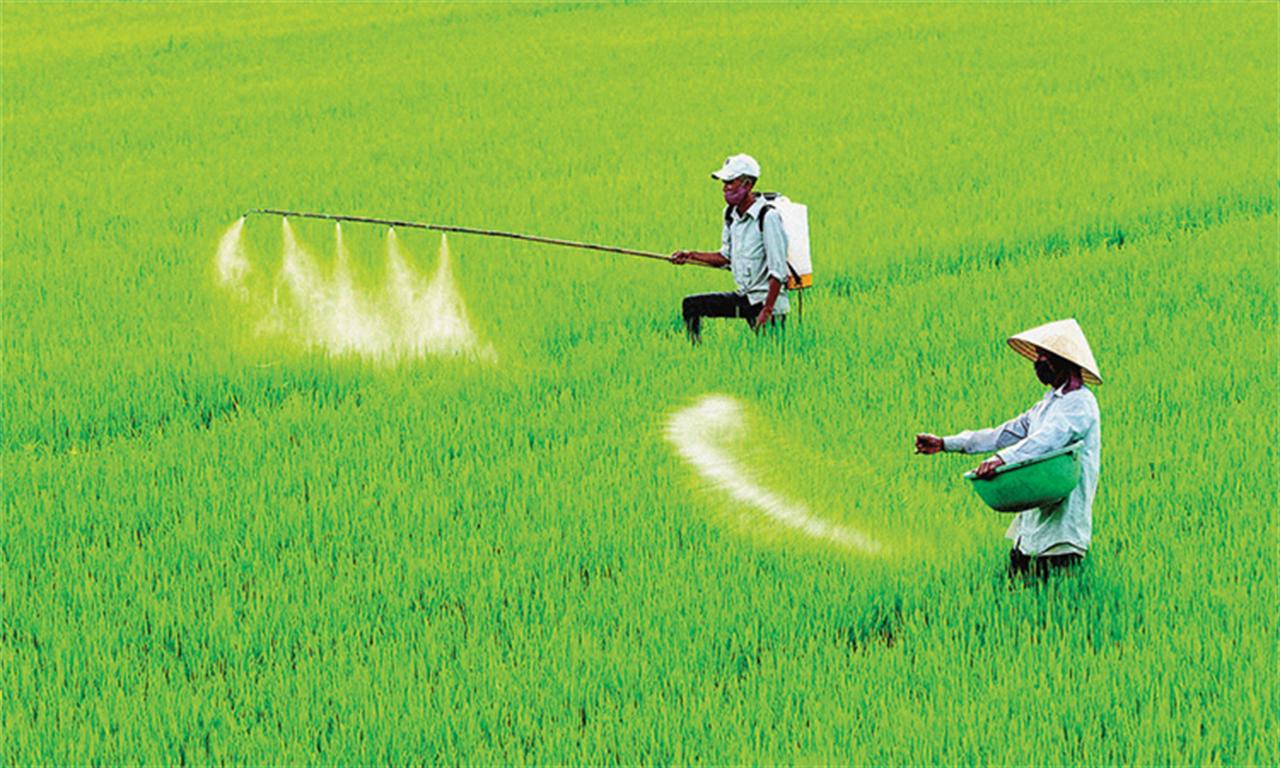 Dự thảo Luật Thuế giá trị gia tăng (sửa đổi): “Nóng” từ nhà máy, đồng ruộng đến nghị trường