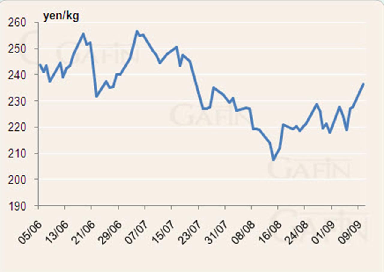 Giá cao su Tocom lên cao nhất 1 tháng phiên đầu tuần