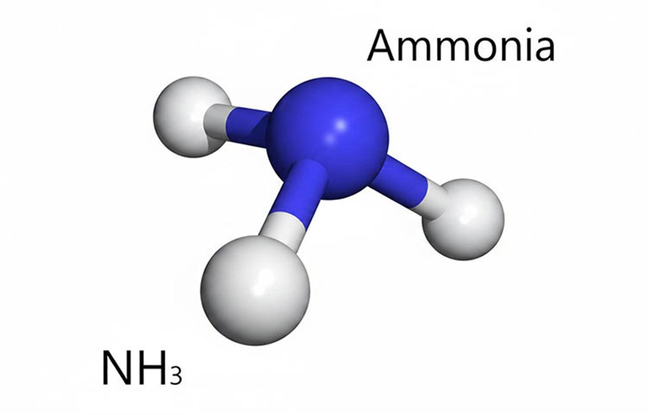 Plasma-Assisted Ammonia Synthesis: A Shorter Path to Green Energy Storage