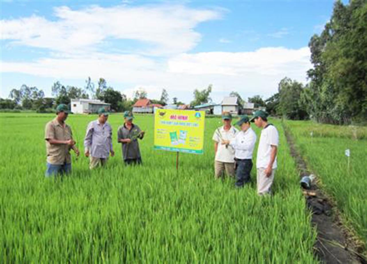 Nỗ lực kìm giá và “gồng mình”với nạn hàng giả