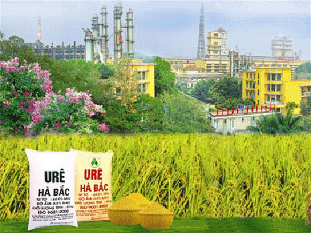 Đạm Hà Bắc: Giữ được chữ tín cho thương hiệu