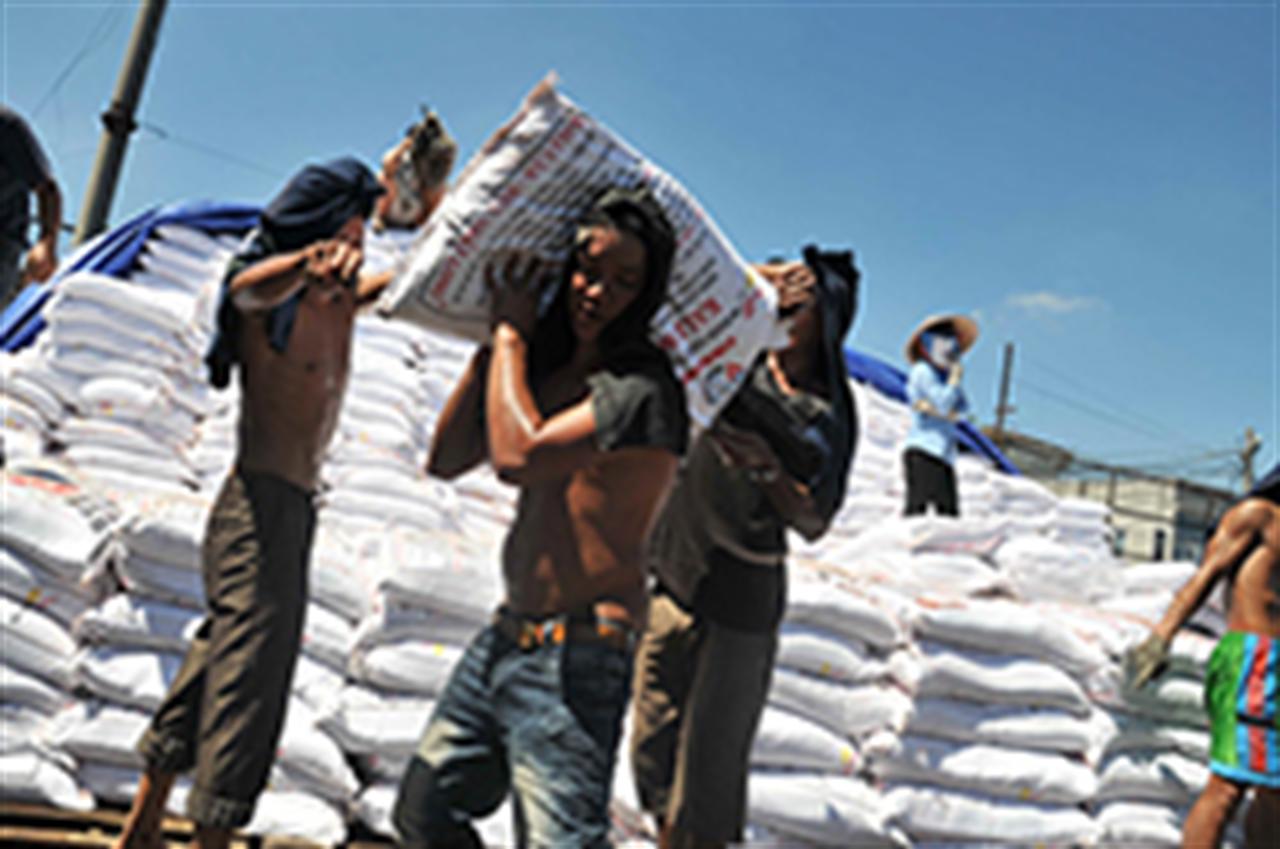 8 tháng, Việt Nam có thêm 8.122 sản phẩm phân bón