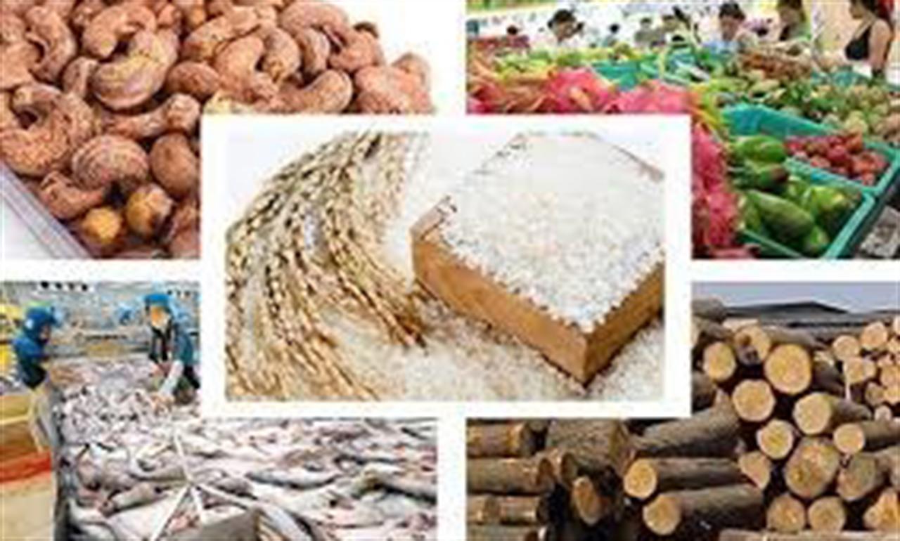 Thương mại toàn cầu bị ảnh hưởng ít nhất 6 tháng do chiến tranh ở Nga-Ukraine