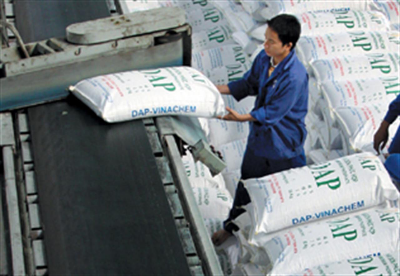 DAP Đình Vũ: Thị trường ngày càng mở rộng