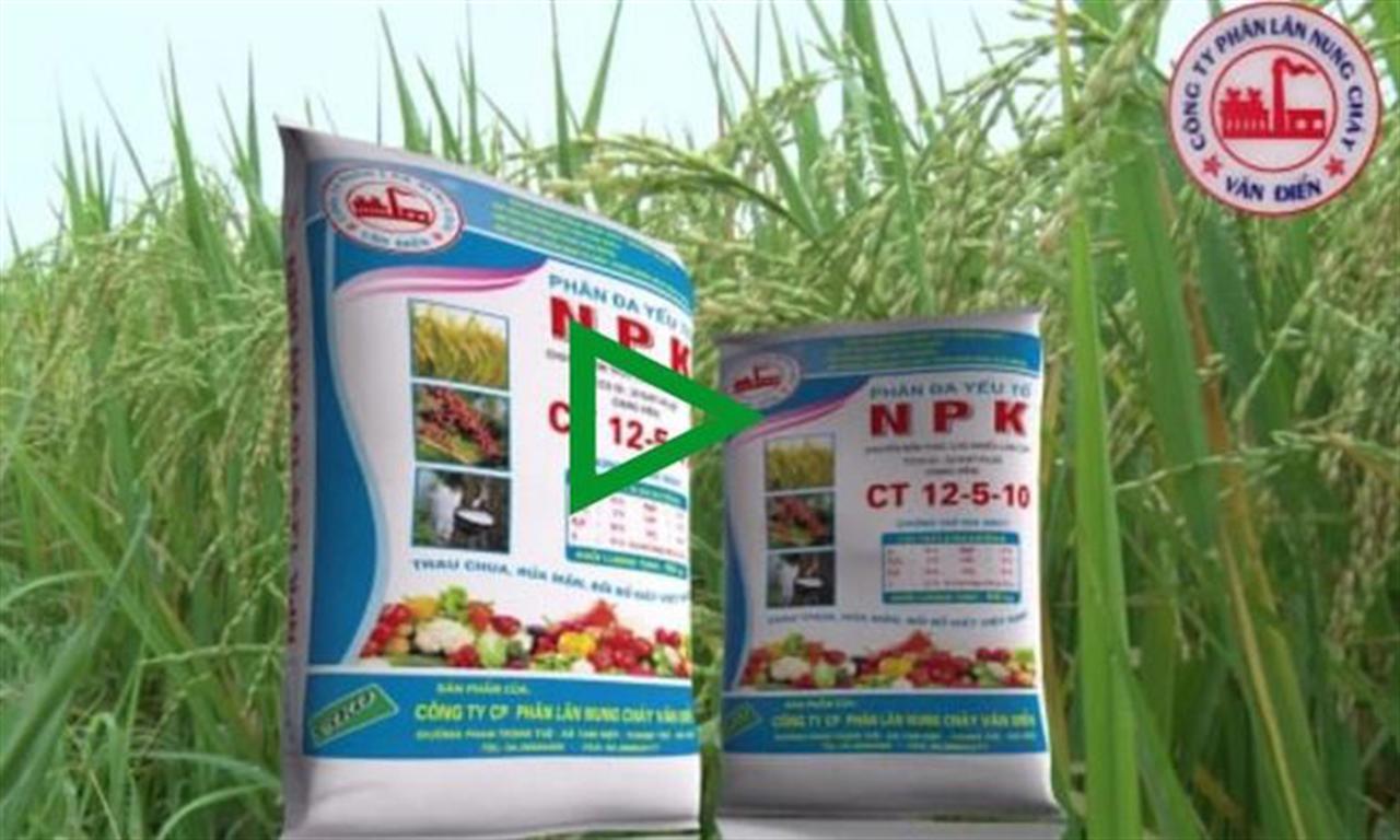 Phân bón Văn Điển "xanh hóa" các vùng chuyên canh tại miền Trung