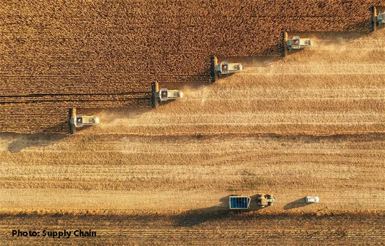 How China's Sulphuric Acid Export Ban Will Hit Metals & Fertiliser