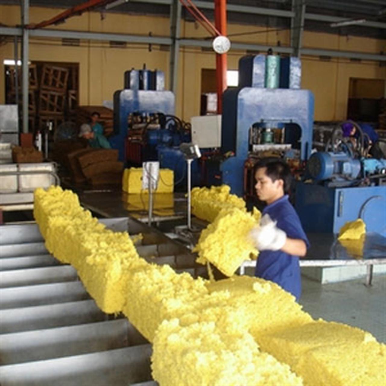 Thị trường cao su thế giới ngày 5/10: giá tăng, lượng mua hạn chế