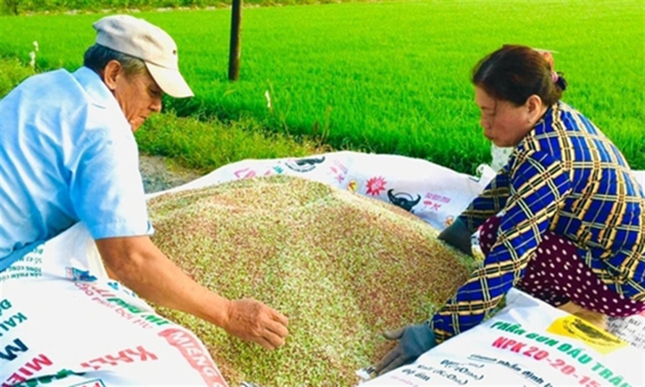 Thuế xuất khẩu phân bón nên áp dụng thế nào?