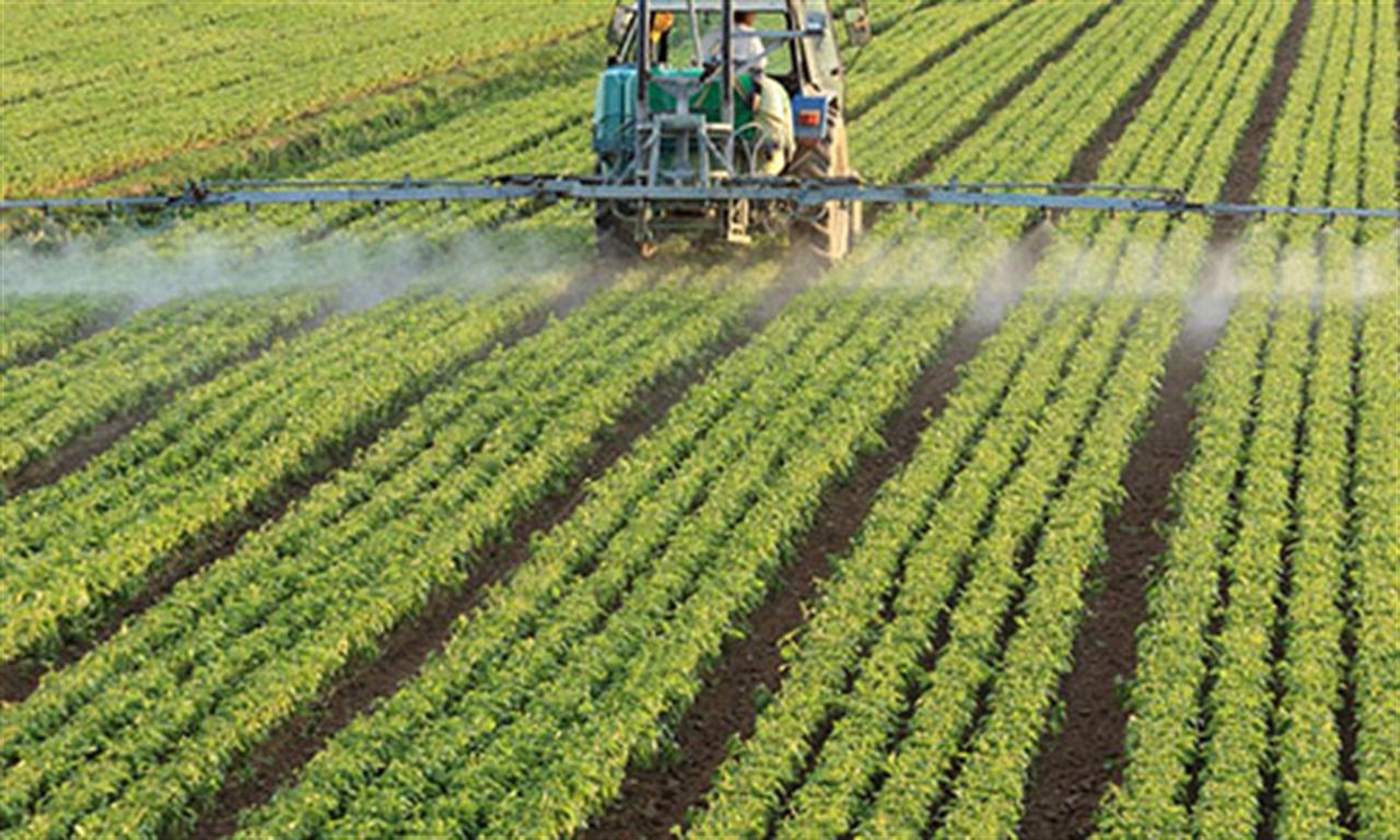 Domestic Urea Output to Cover 35% of Brazil Fertilizer Needs by 2026