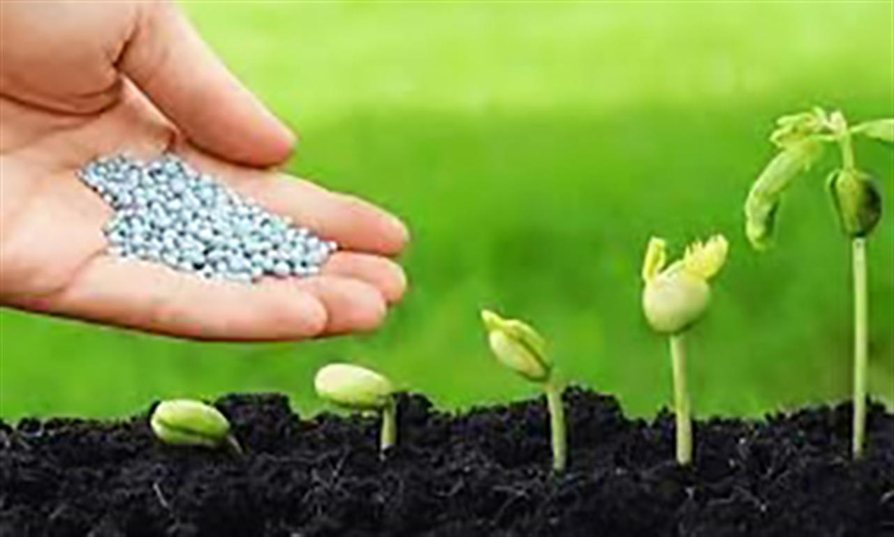 Nhập khẩu phân bón 8 tháng năm 2022 giảm lượng, tăng kim ngạch