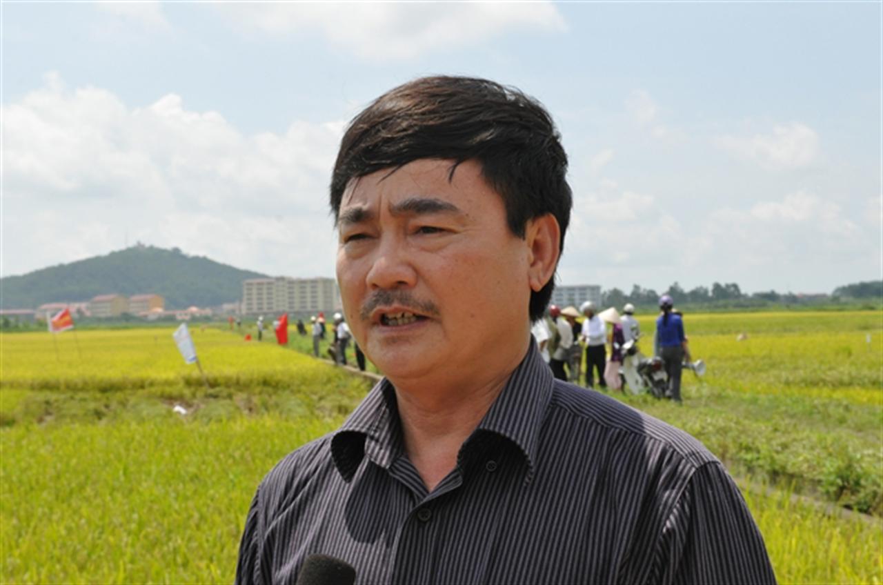 DAP Đình Vũ chủ động trước khó khăn