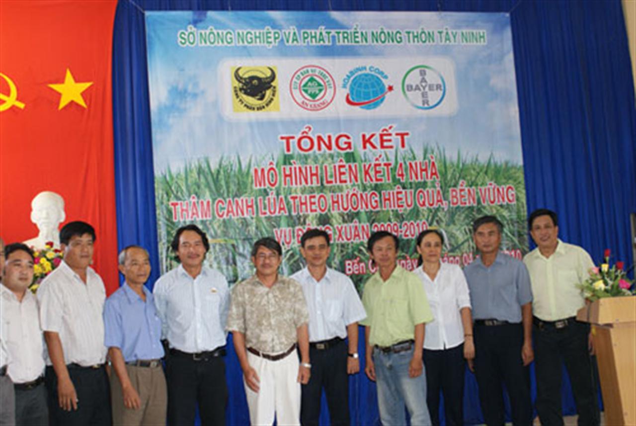 Phân bón Đầu trâu TE + Agrotain lúa mang lại hiệu quả cho nông dân trong mô hình liên kết 4 nhà tại Tây Ninh