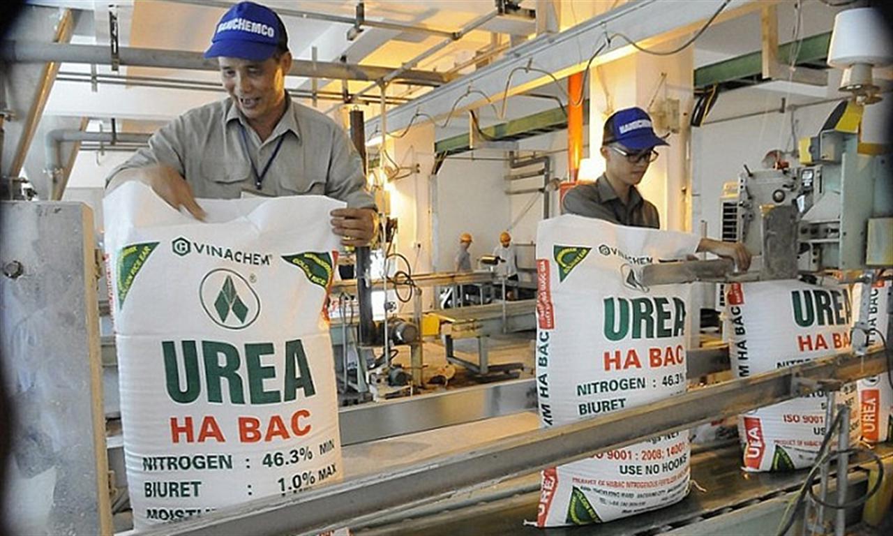 Giá phân ure có thể tăng trở lại nhưng không tái diễn “sốt nóng”