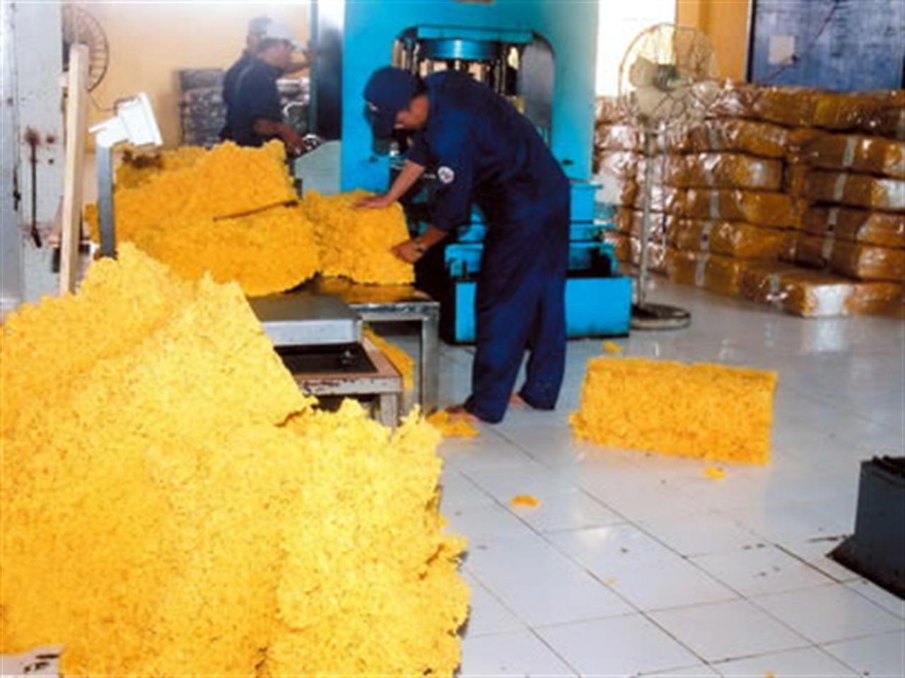 Lũ lụt ở Thái Lan sẽ đẩy tăng giá cao su trong tuần này