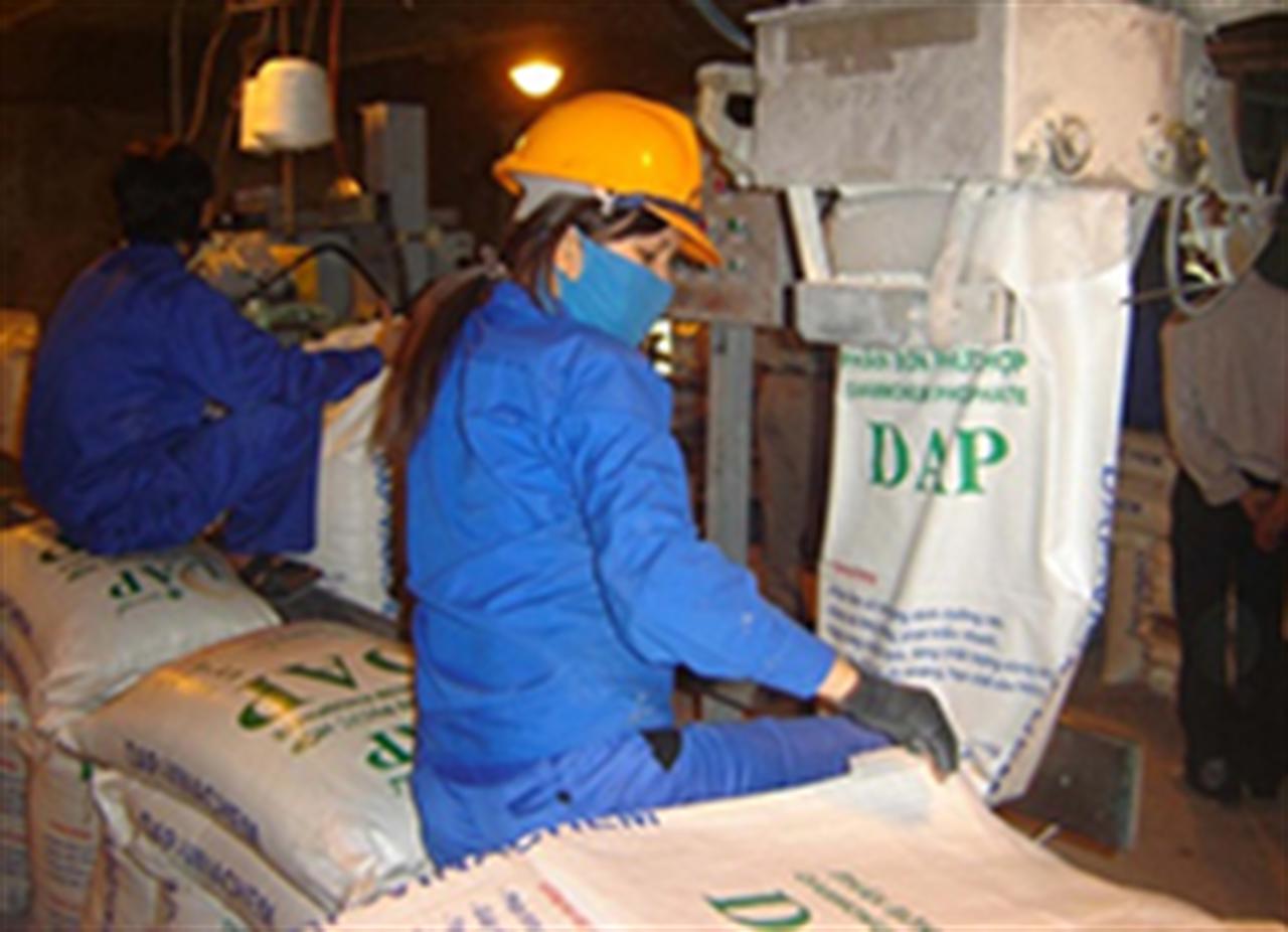 Phân bón DAP kích thước không đồng đều không được phân loại như “dạng viên”