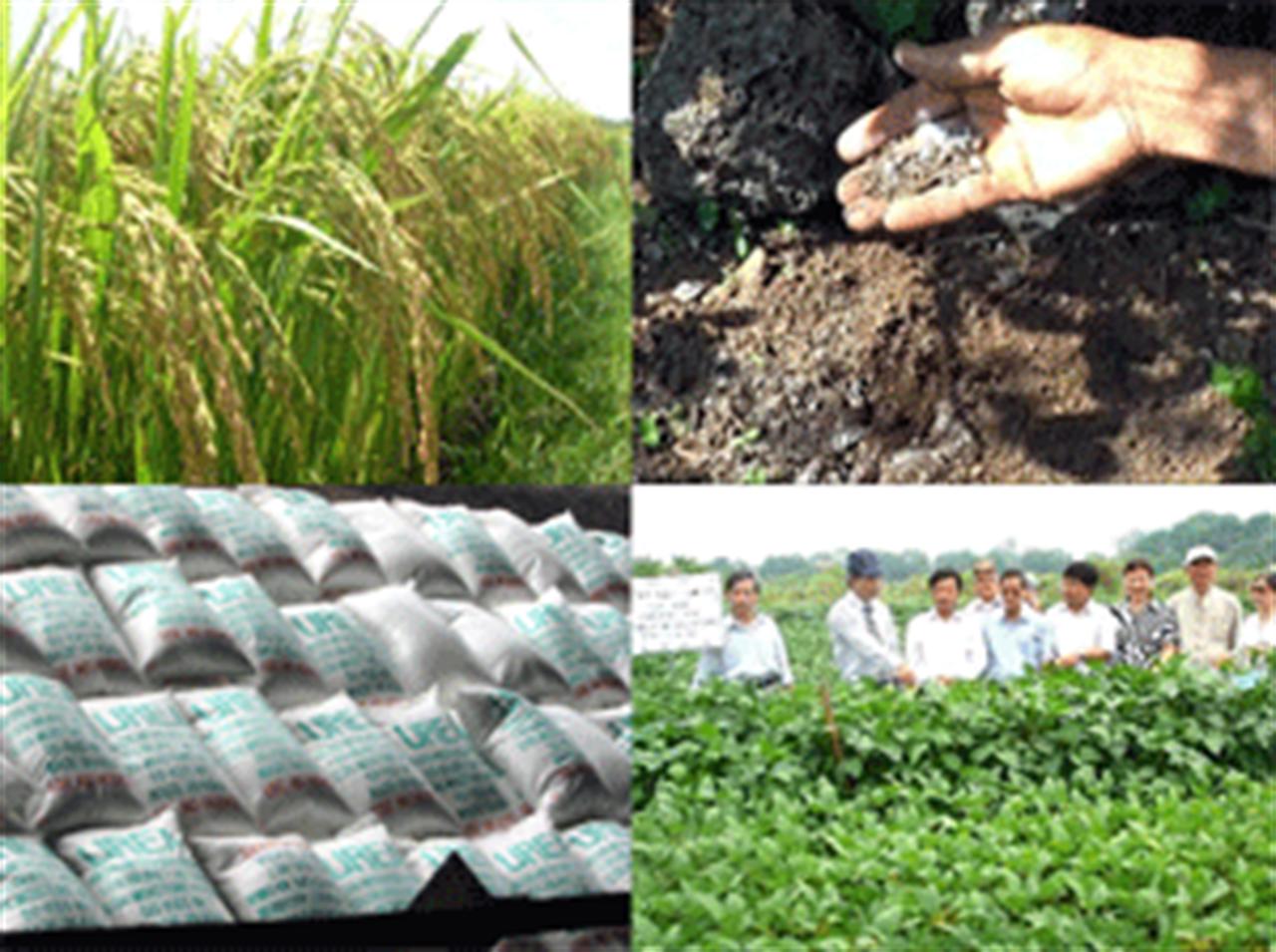 Bổ sung danh mục giống cây trồng, phân bón được kinh doanh và sử dụng ở VN