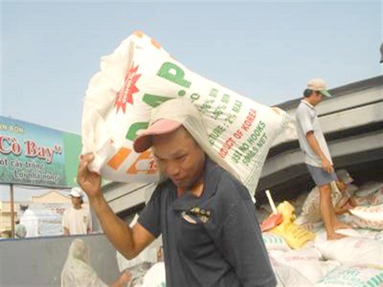 Tiêu thụ phân bón giảm do tác động bất lợi về thời tiết