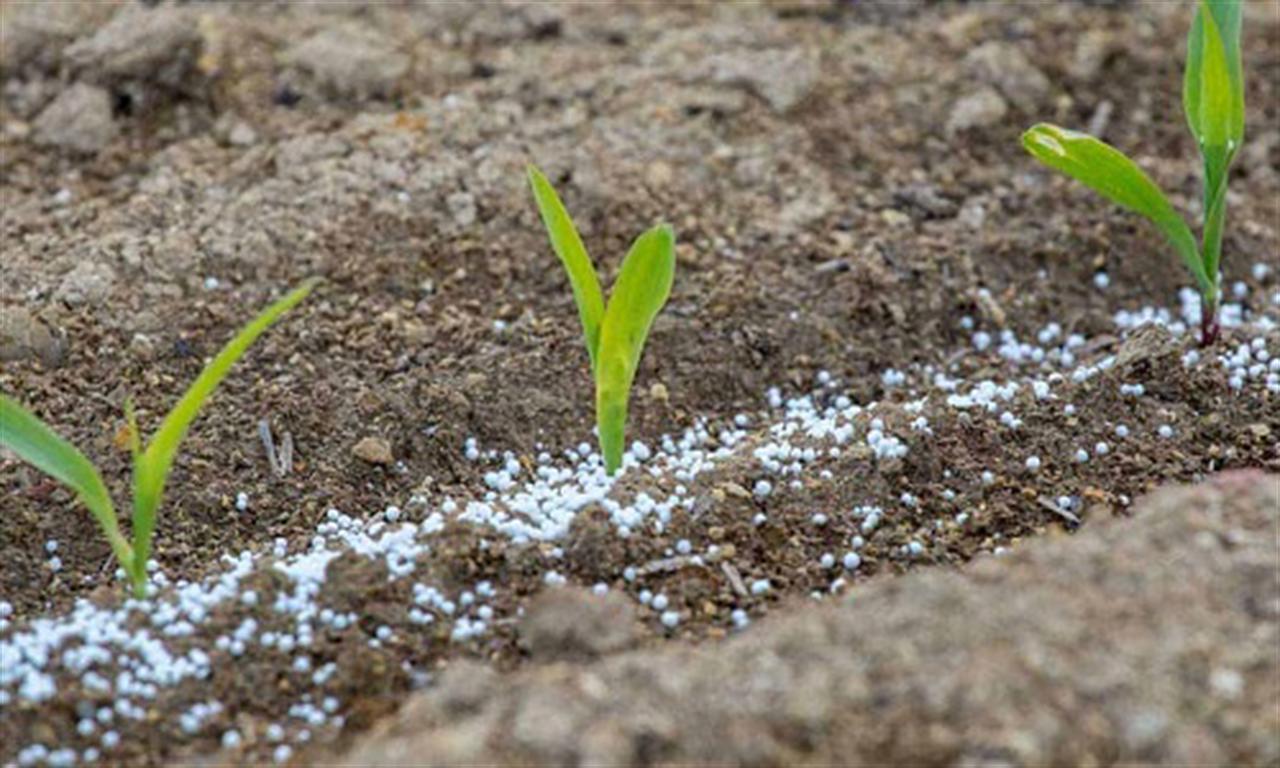 Soaring LNG prices likely to drive up India’s US$14 billion fertilizer subsidy