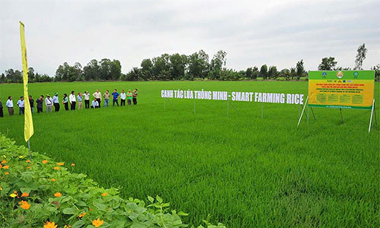 Từ Nghị quyết 57-NQ/TW của Bộ Chính trị đến thực tiễn hoạt động của doanh nghiệp sản xuất phân bón: Ưu tiên ứng dụng Công nghệ sinh học trong đổi mới mô hình tăng trưởng