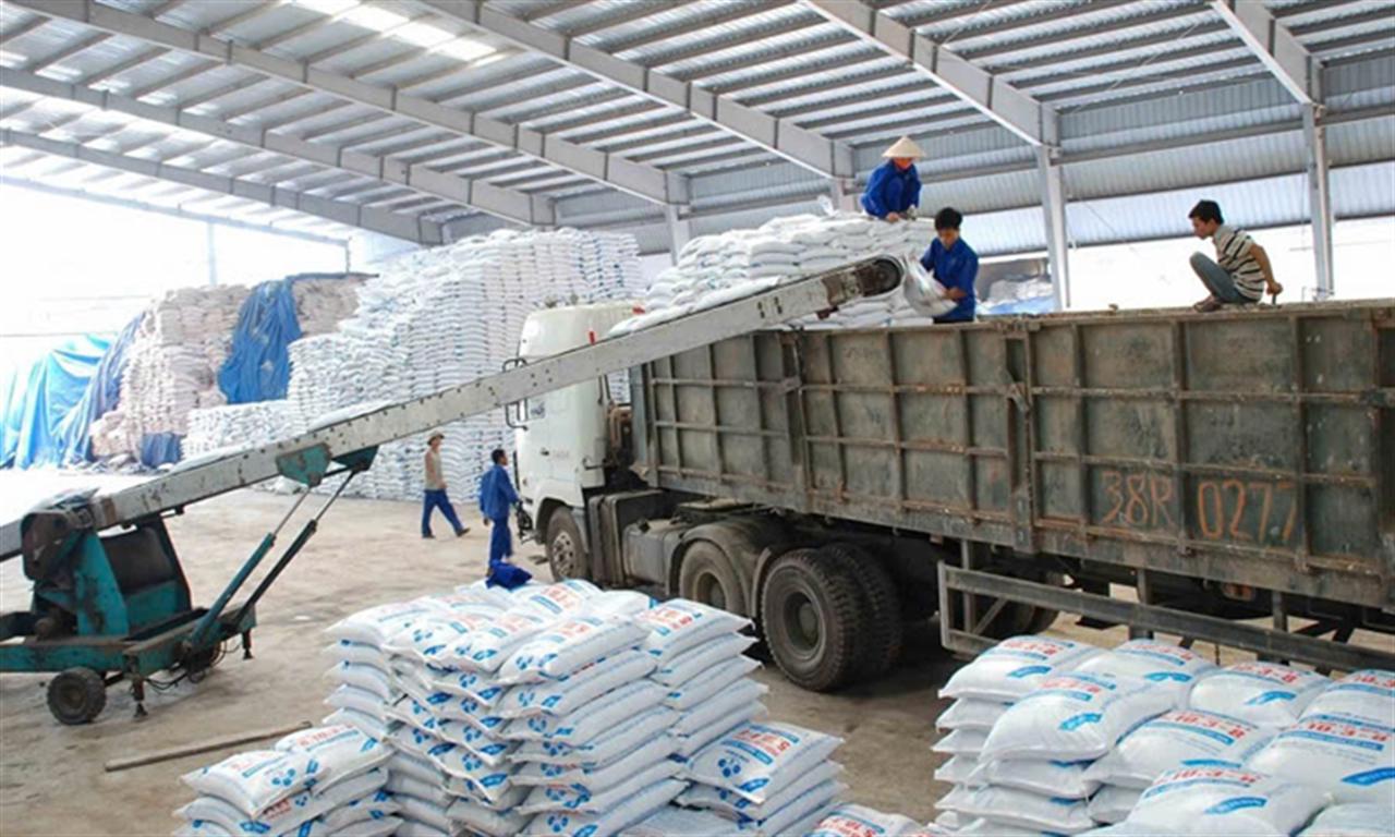Thị trường nhập khẩu phân bón 8 tháng đầu năm 2024