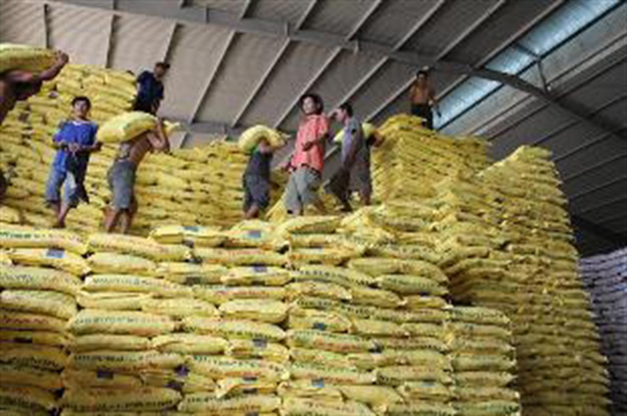 Thị trường phân bón Quốc tế tuần từ 04/08 - 11/08