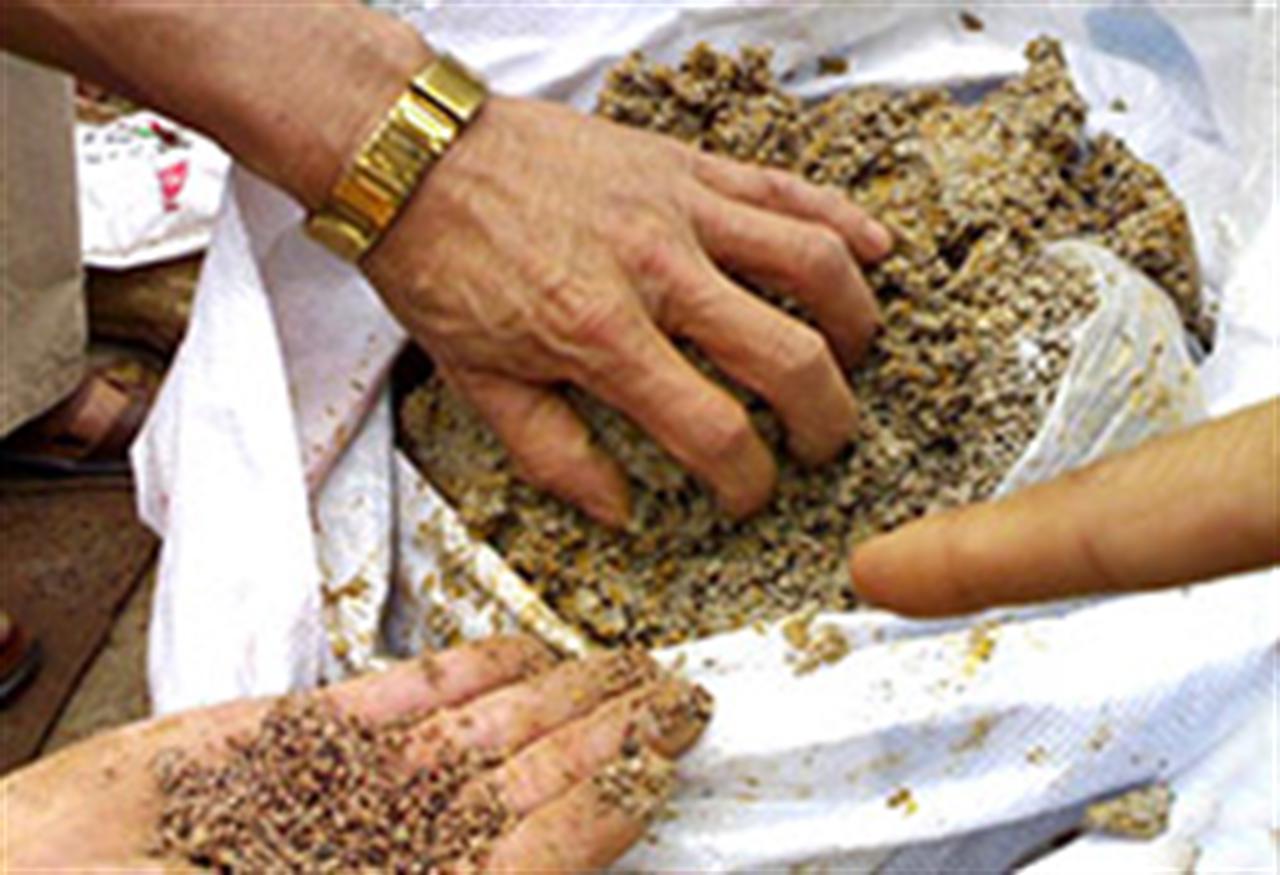 Tăng cường chống buôn lậu phân bón và thuốc bảo vệ thực vật