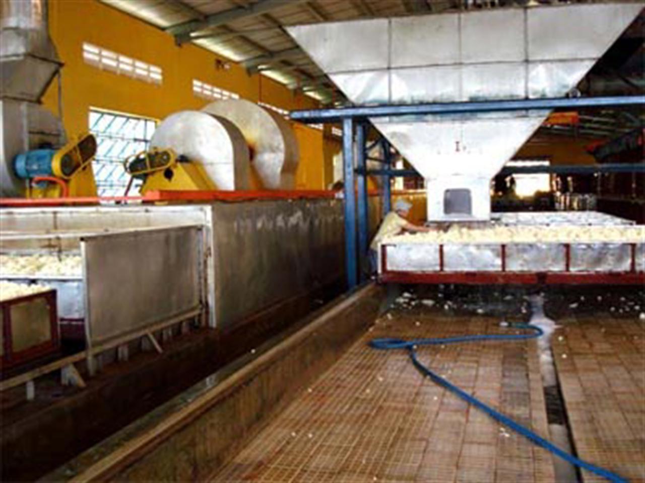 Nhập khẩu cao su của Việt Nam 2 tháng đầu năm 2010 tăng cả về lượng và trị giá