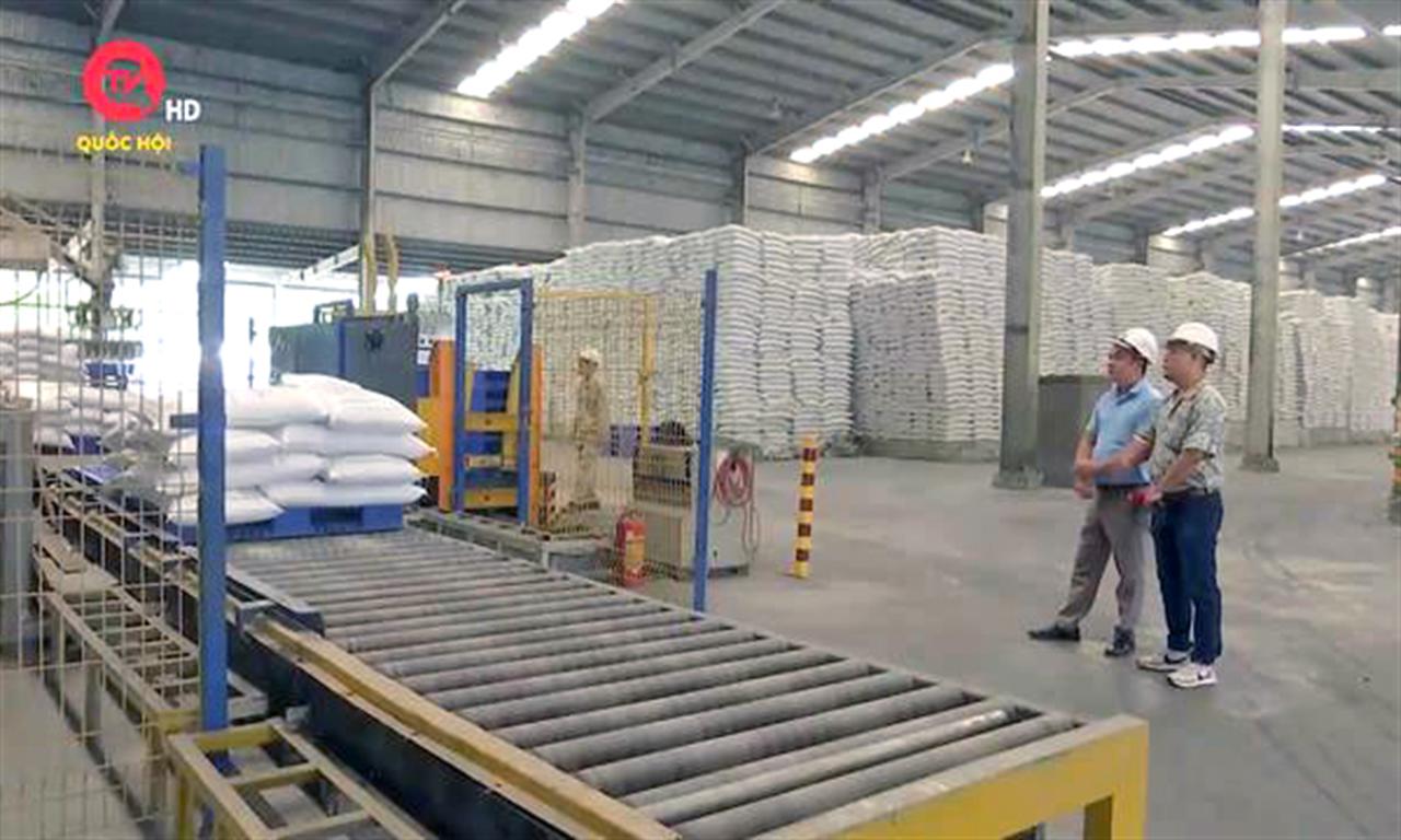 Góc nhìn hôm nay: Miễn thuế VAT - Ưu đãi hay ngược đãi?