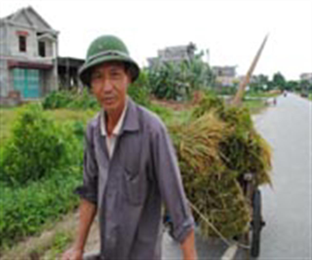 Cần có giải pháp ổn định thị trường phân bón