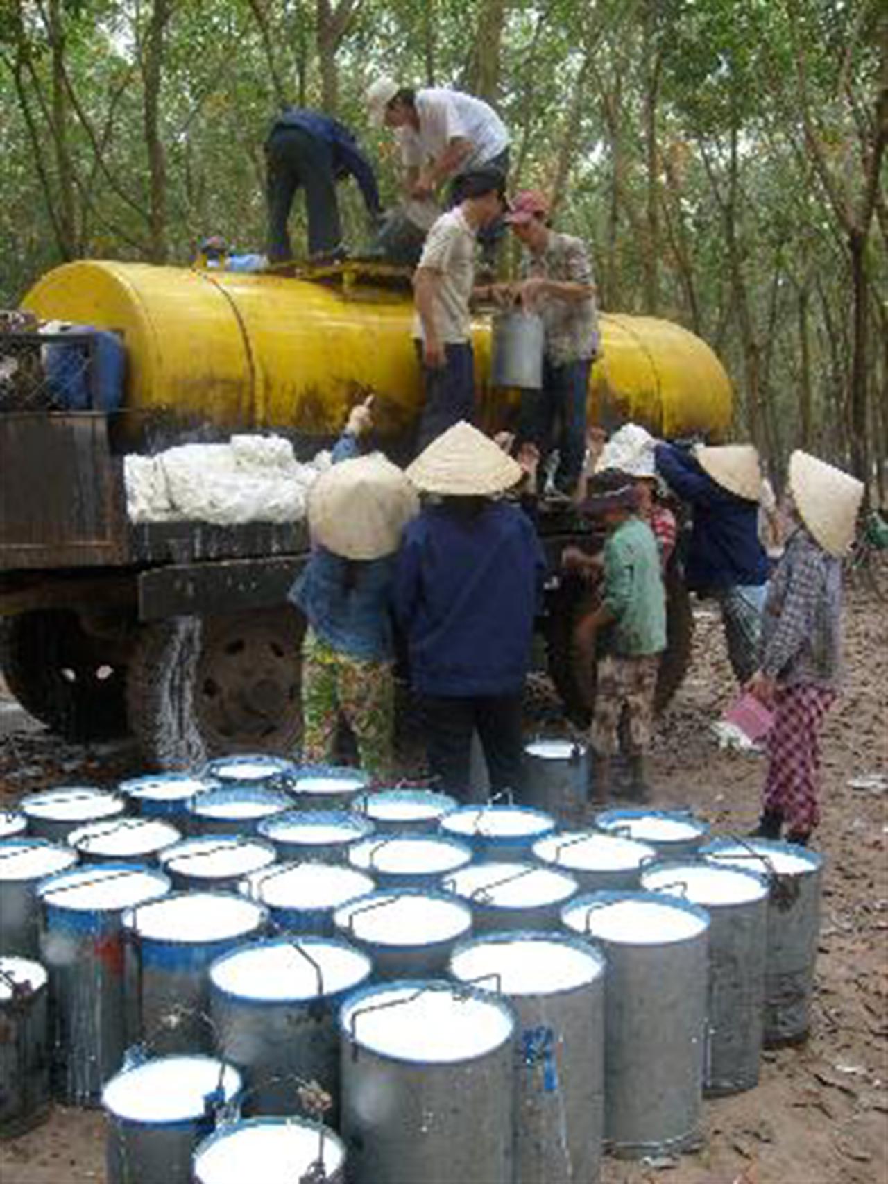 Thị trường cao su thế giới quý II/2010: giá giảm mạnh nhất kể từ 2008